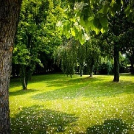 Villa Magnolie Corbetta Dış mekan fotoğraf